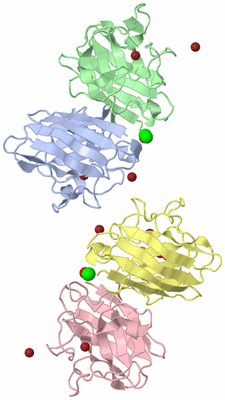 Image Biological Unit 5