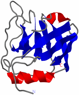 Image NMR Structure - model 1