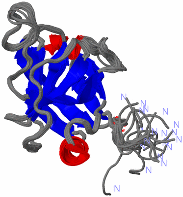 Image NMR Structure - all models