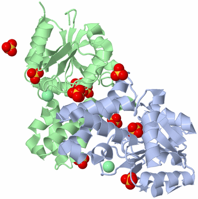 Image Biological Unit 1