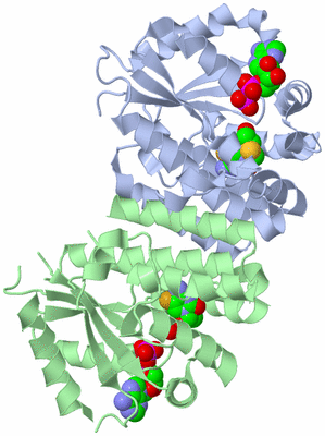 Image Biological Unit 1