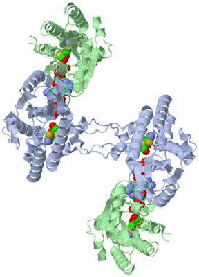 Image Biological Unit 2