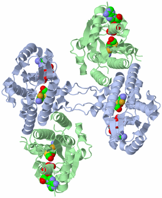 Image Biological Unit 3