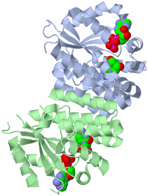 Image Asym./Biol. Unit