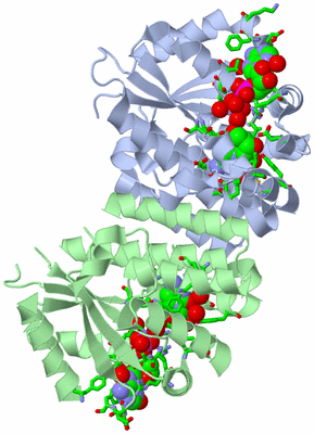 Image Asym./Biol. Unit - sites