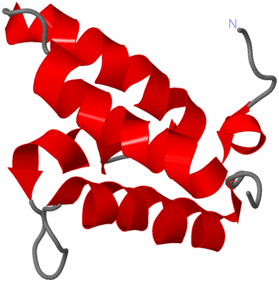 Image NMR Structure - model 1