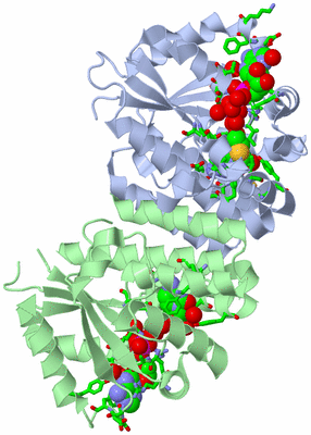 Image Biol. Unit 1 - sites