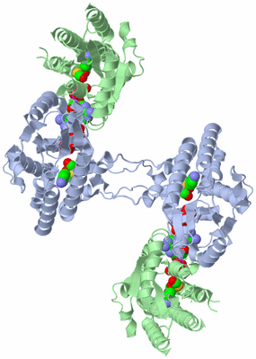 Image Biological Unit 2