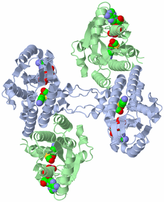 Image Biological Unit 3