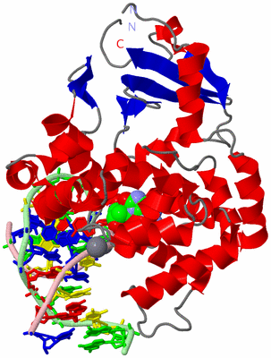 Image Asym./Biol. Unit