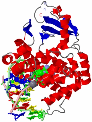 Image Asym./Biol. Unit - sites