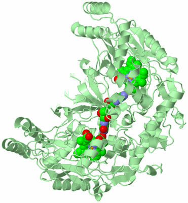 Image Biological Unit 2