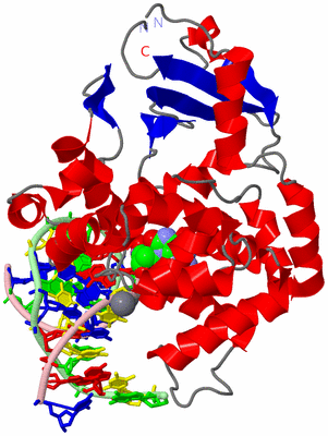 Image Asym./Biol. Unit