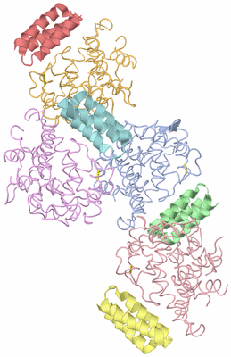 Image Asym./Biol. Unit