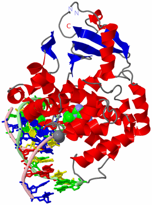 Image Asym./Biol. Unit