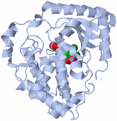 Image Biological Unit 1