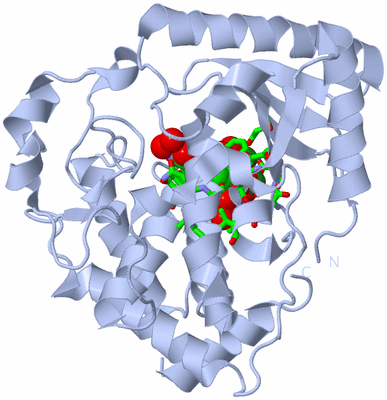 Image Biol. Unit 1 - sites