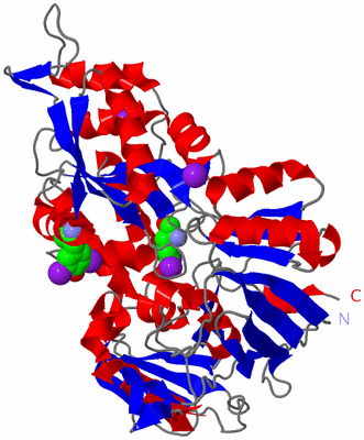 Image Asym./Biol. Unit