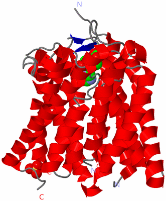 Image Asymmetric Unit