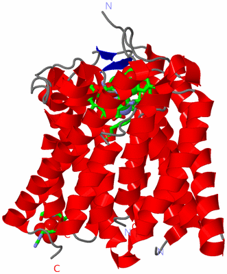 Image Asym. Unit - sites