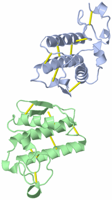 Image Asymmetric Unit
