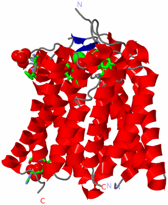 Image Asym. Unit - sites