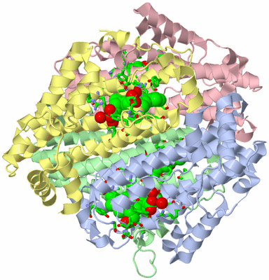 Image Biol. Unit 1 - sites