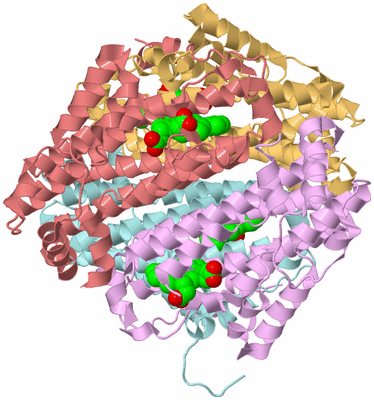 Image Biological Unit 2