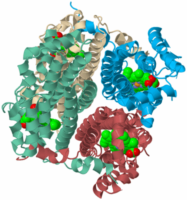 Image Biological Unit 3