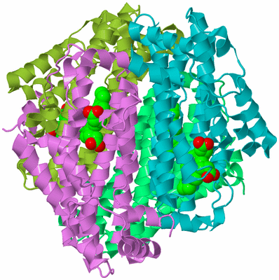 Image Biological Unit 4