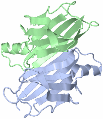 Image Asymmetric Unit