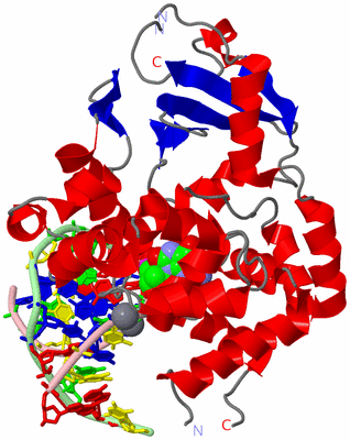 Image Asym./Biol. Unit