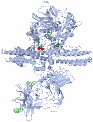 Image Biol. Unit 1 - sites