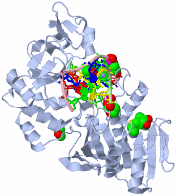 Image Biological Unit 1