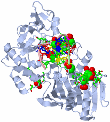 Image Biol. Unit 1 - sites