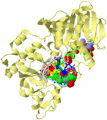 Image Biological Unit 2