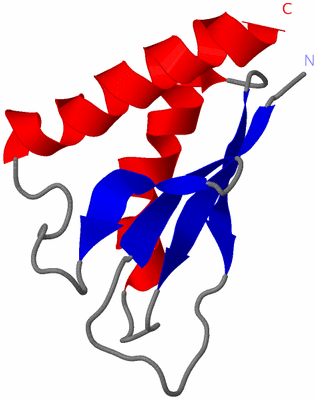 Image NMR Structure - model 1