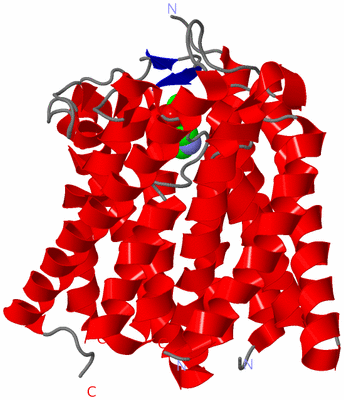 Image Asymmetric Unit