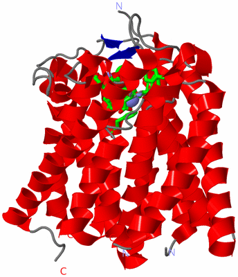 Image Asym. Unit - sites
