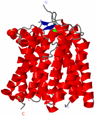 Image Asymmetric Unit