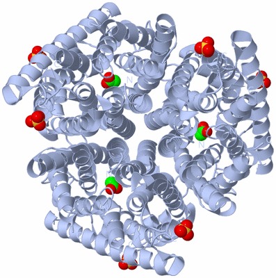 Image Biological Unit 1