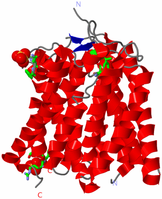 Image Asym. Unit - sites