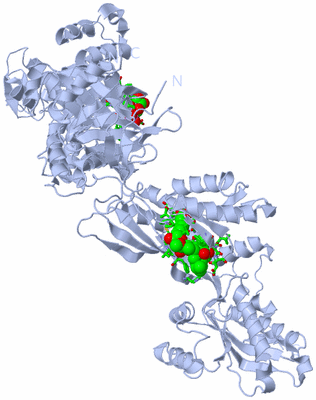 Image Biol. Unit 1 - sites