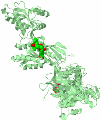 Image Biological Unit 2