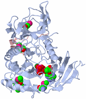 Image Biological Unit 1