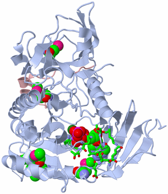 Image Biol. Unit 1 - sites