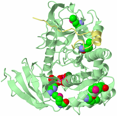 Image Biological Unit 2