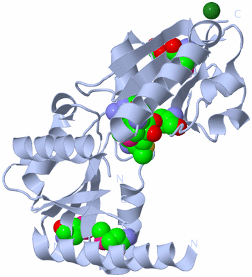 Image Biological Unit 1