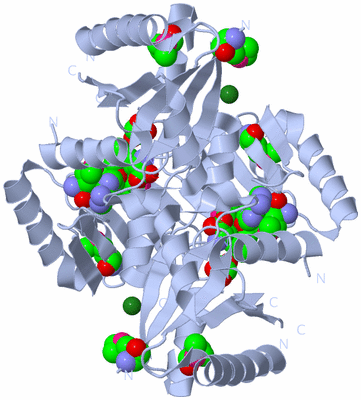 Image Biological Unit 2