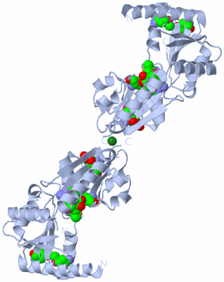 Image Biological Unit 3